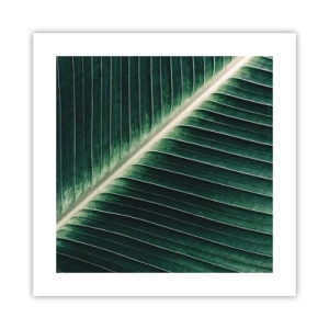Pôster - O ritmo da natureza - 40x40 cm