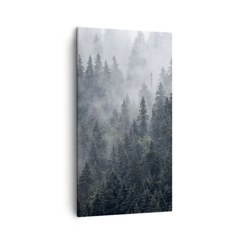 Quadro em tela - O amanhecer da floresta - 45x80 cm