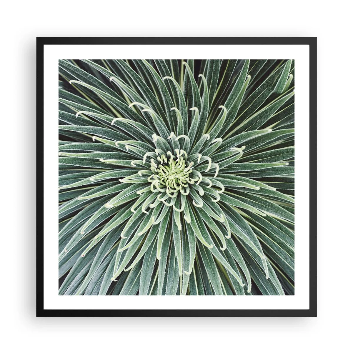 Pôster com moldura preta - Nasce uma estrela - 60x60 cm