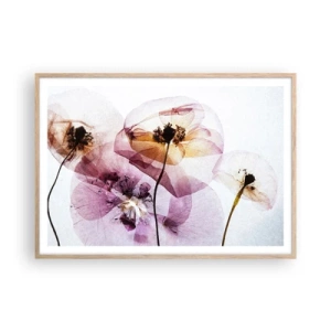 Pôster com moldura de carvalho claro - A transparência das flores - 100x70 cm
