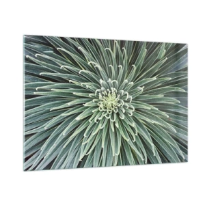 Quadro em vidro - Nasce uma estrela - 100x70 cm