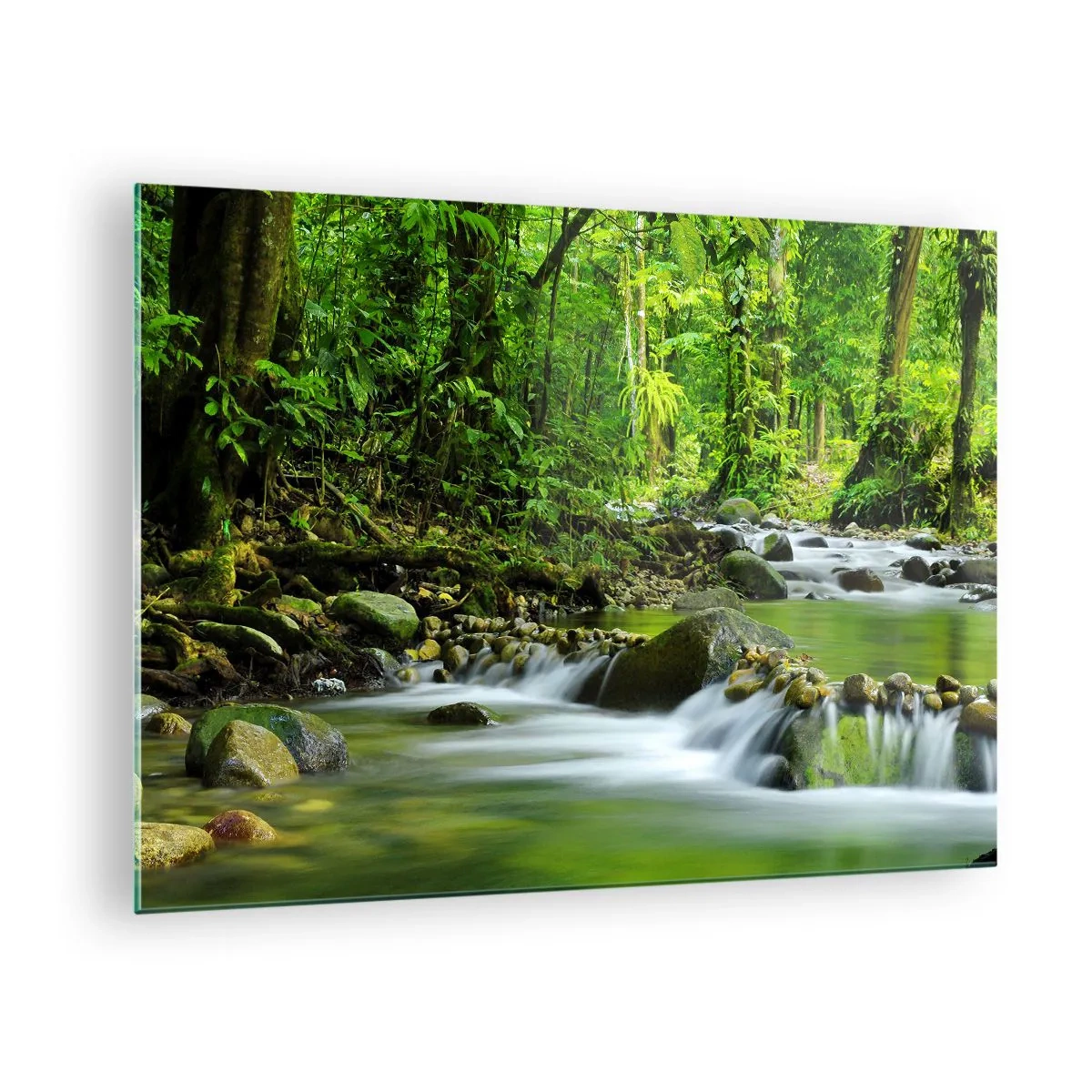 Quadro em vidro - Um riacho na floresta cercado por vegetação exuberante - 70x50cm - Navegar no mar de vegetação - Decoração de parede moderna para a sala de estar e quarto ARTTOR
