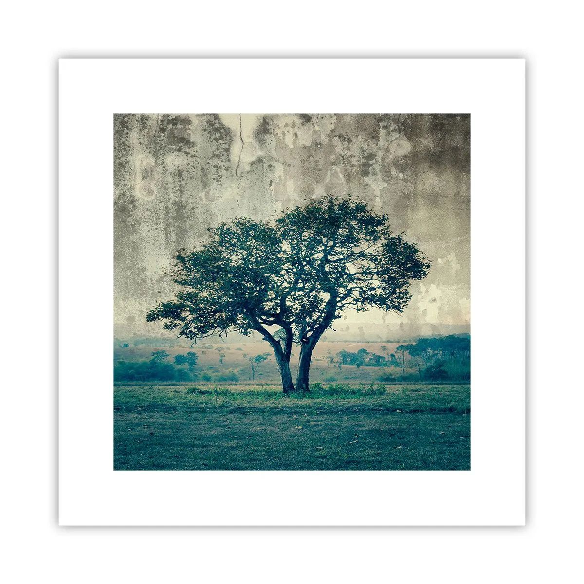 Pôster - Uma macieira num prado azul? - 30x30 cm
