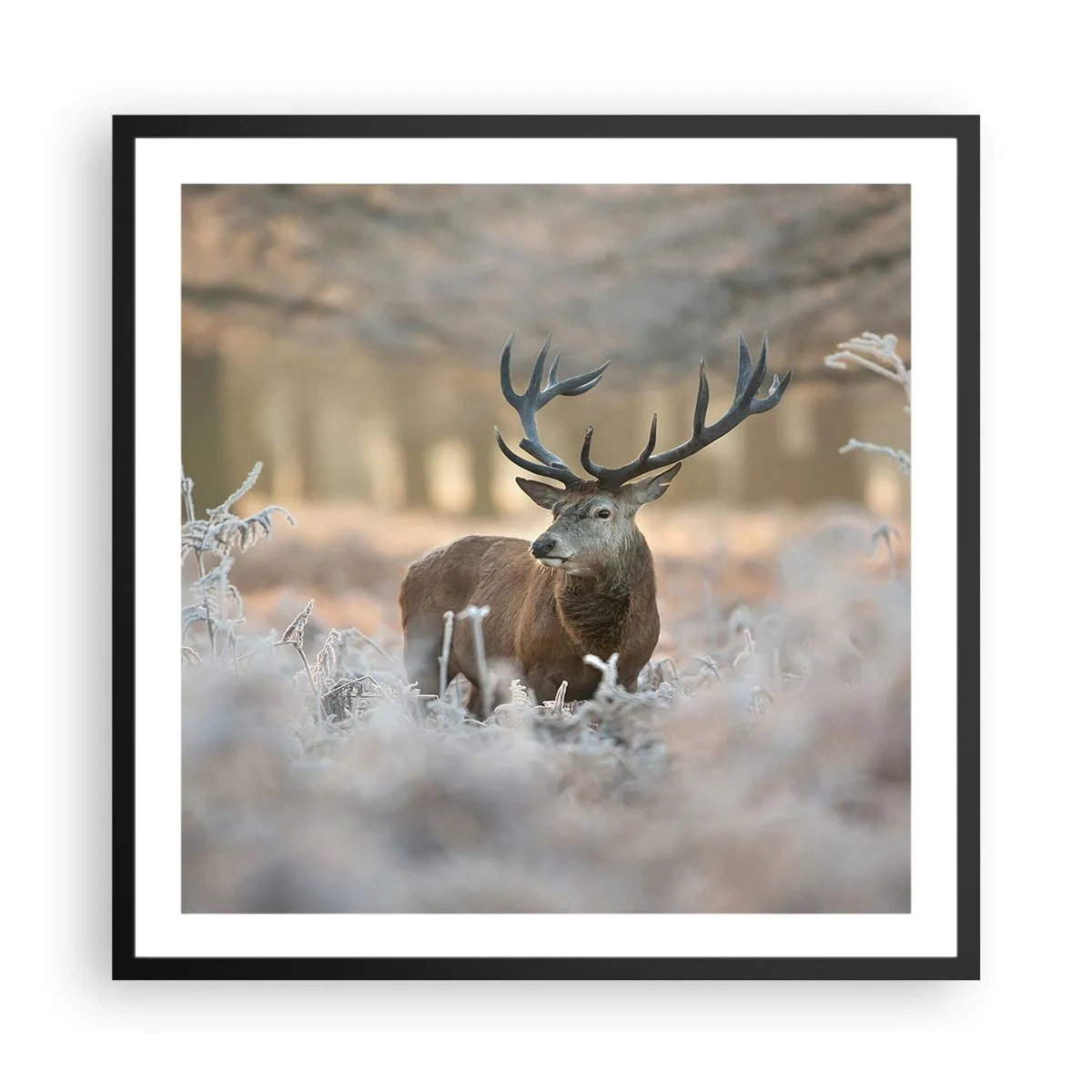 Pôster com moldura preta - Uma manhã fresca - 60x60 cm