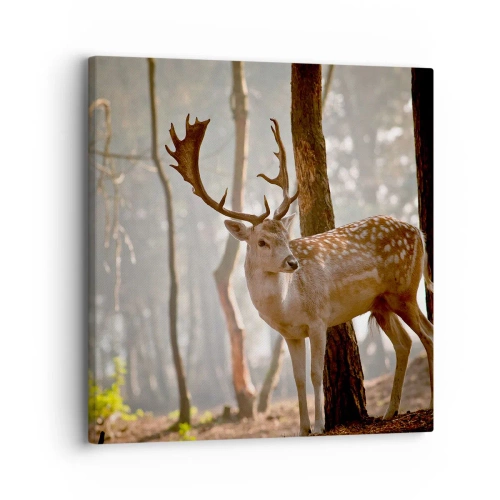 Quadro em tela - A Luz da Juventude - 30x30 cm