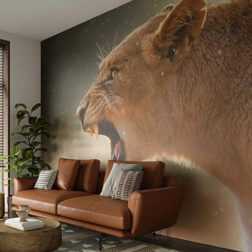 Papel de Parede Premium Sand - Tente não ouvir - Animais, Leão, África - 500x350 cm