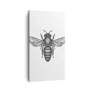 Quadro em tela - Retrato de um inseto - 45x80 cm