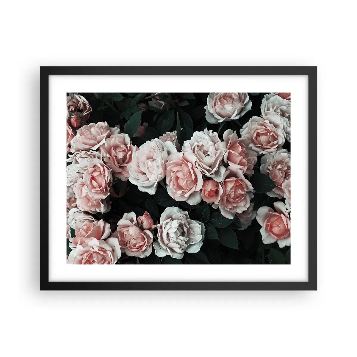 Pôster com moldura preta - Conjuntos de rosas - 50x40 cm