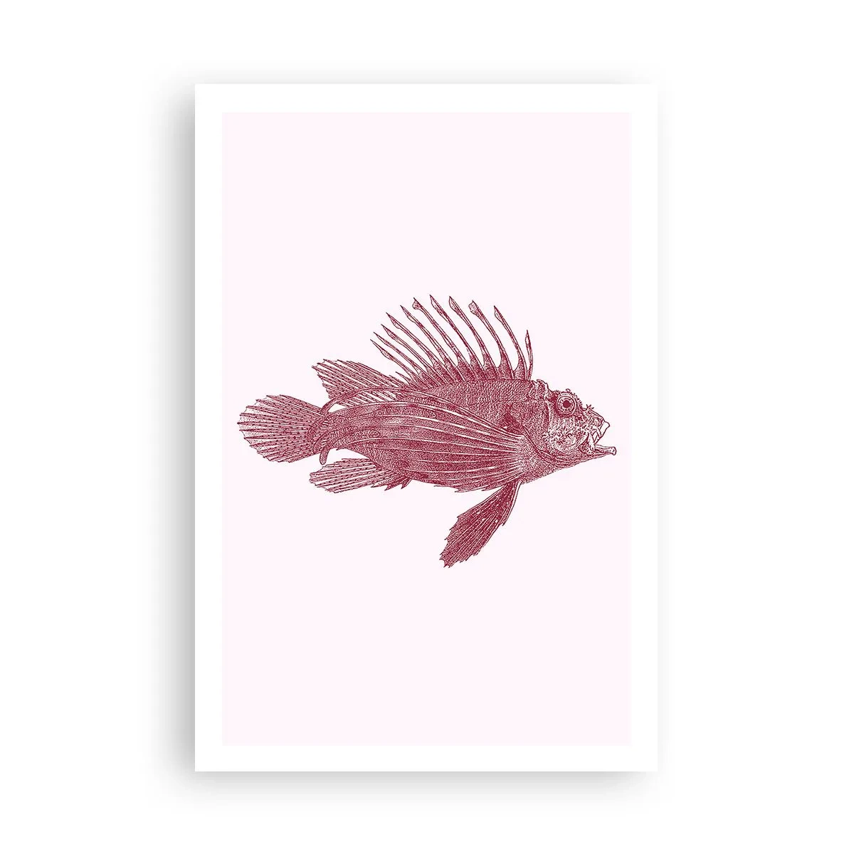 Pôster - Um habitante de águas exóticas - 61x91 cm