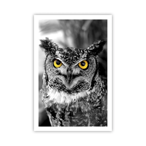 Pôster - Nada pode ser escondido - 61x91 cm