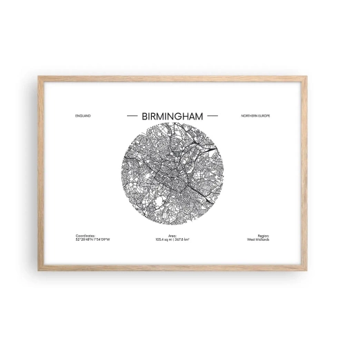 Pôster com moldura de carvalho claro - Anatomia de Birmingham - 70x50 cm