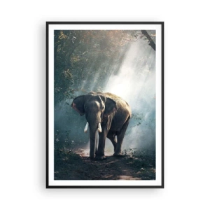 Pôster com moldura preta - Um passeio descontraído - 70x100 cm