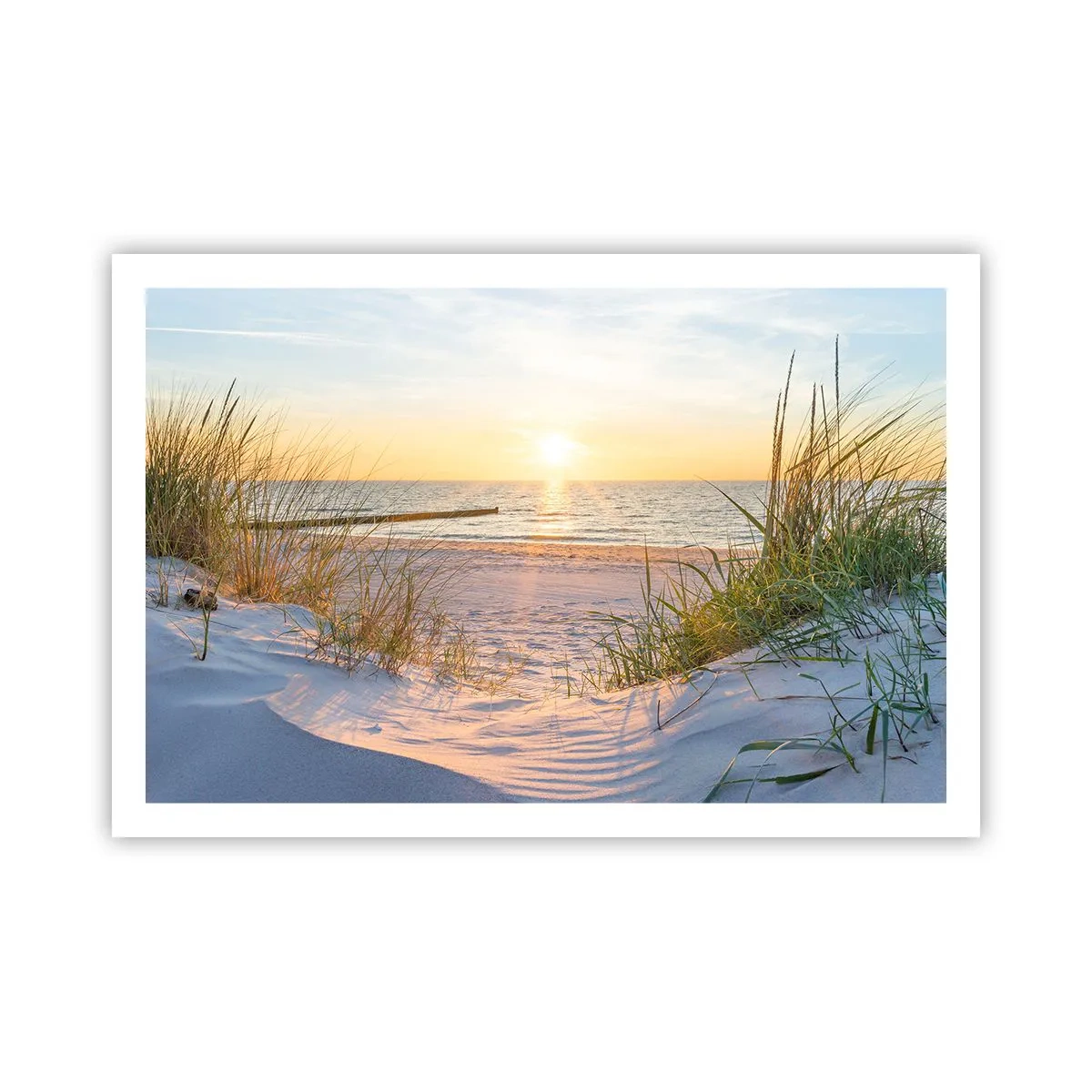 Pôster - O som do mar, o canto dos pássaros, a praia selvagem entre a relva... - 91x61 cm