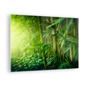 Quadro em vidro - Floresta de bambu verde ao sol - 70x50cm - Conheça a vegetação  - Decoração de parede moderna para a sala de estar e quarto ARTTOR