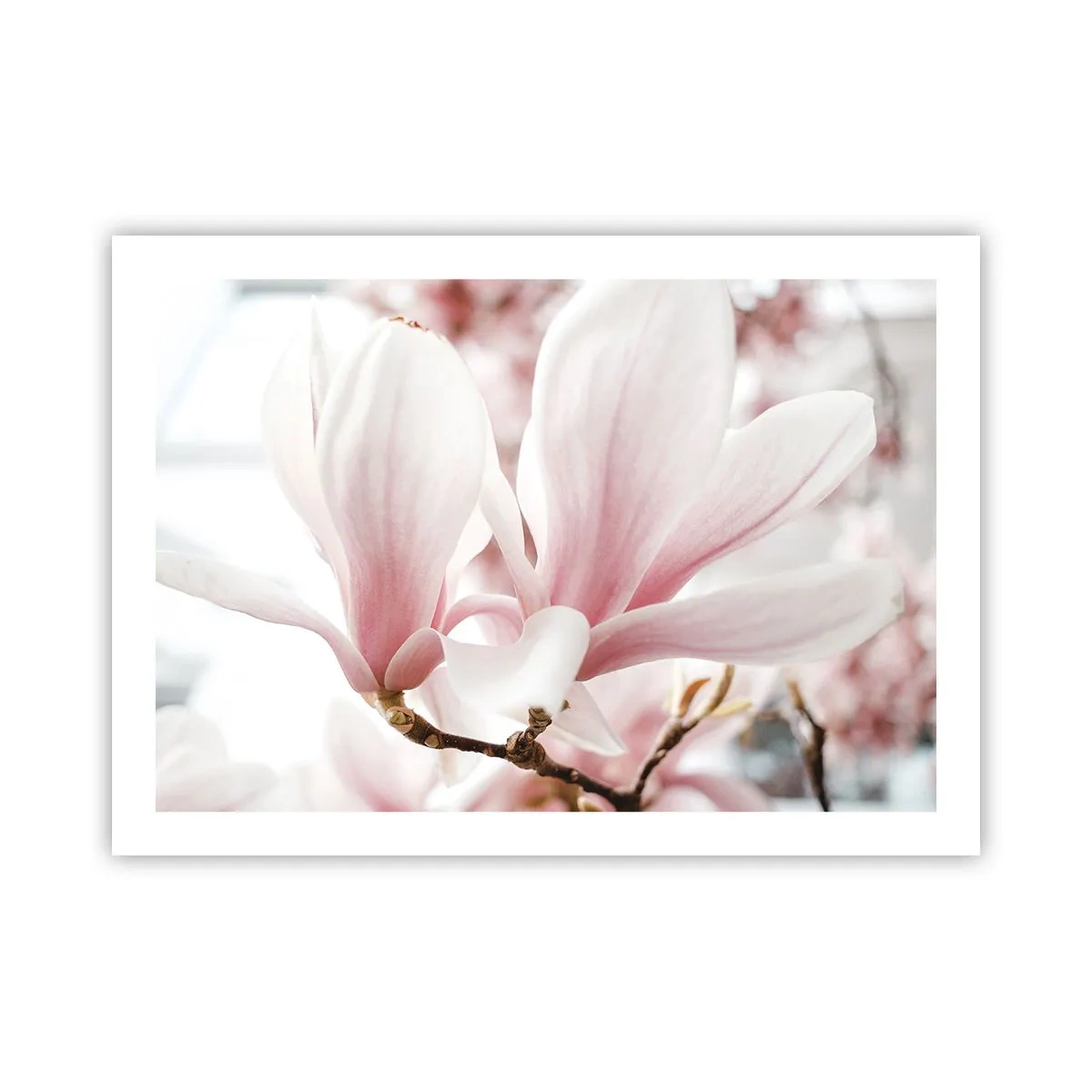 Pôster - Sensibilidade infinita - 70x50 cm