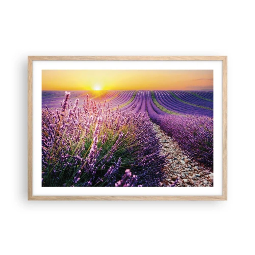 Pôster com moldura de carvalho claro - Prado perfumado - 70x50 cm