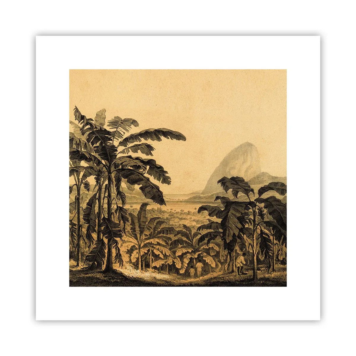 Pôster - num clima colonial - 30x30 cm
