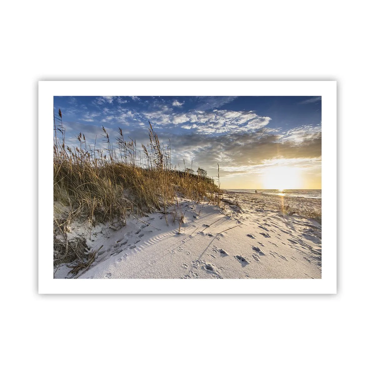 Pôster - Um convite para um passeio - 70x50 cm