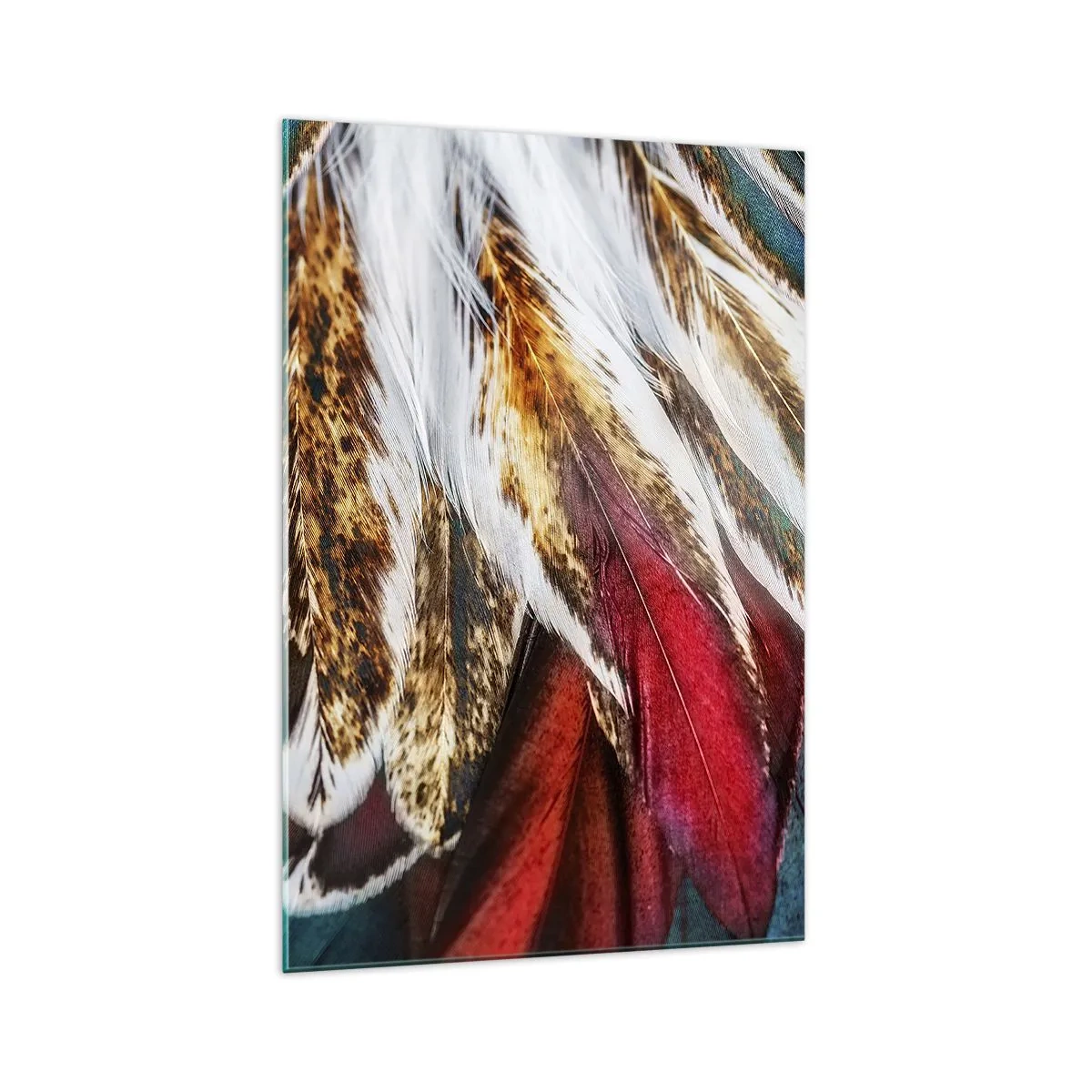 Quadro em vidro - Segredos de vôo - 70x100 cm