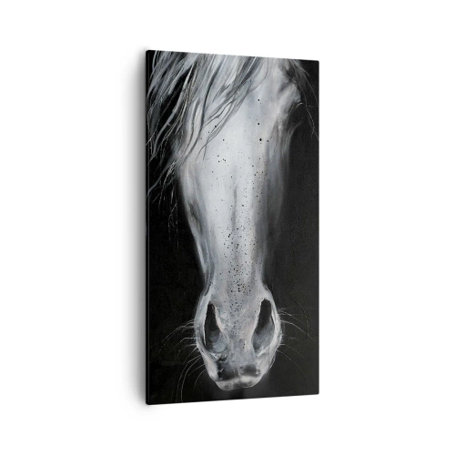 Quadro em tela - Olhar sedutor - 55x100 cm