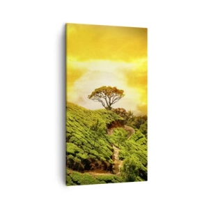 Quadro em tela - Um caminho sinuoso, uma encosta verde - 45x80 cm