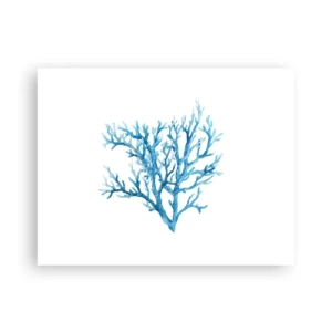 Pôster - Filigrana náutica - 40x30 cm