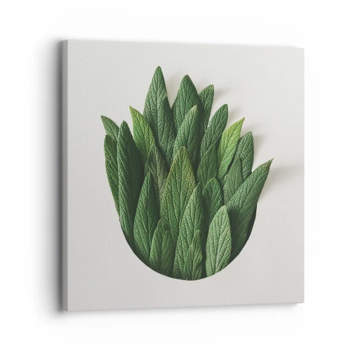 Quadro em tela - Curiosidade indomável - 30x30 cm