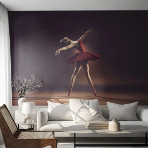 Papel de Parede Premium Canvas - Prima ballerina - Bailarina, Dança, Balé - 350x256 cm