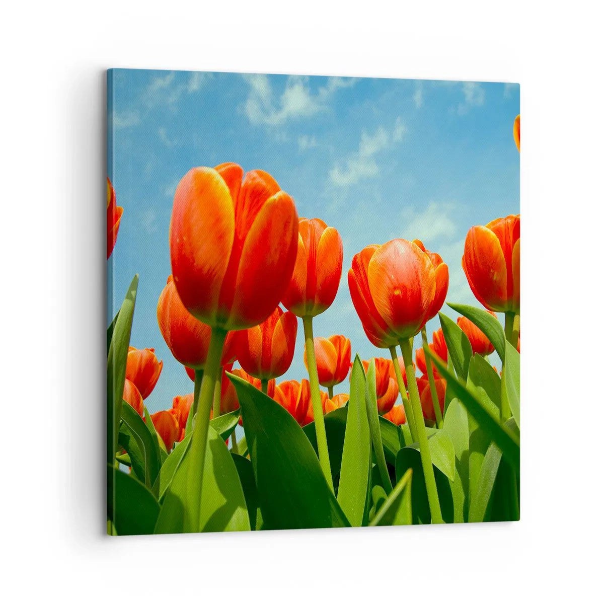 Quadro em tela - Além do céu azul, nada mais é necessário na vida - 60x60 cm