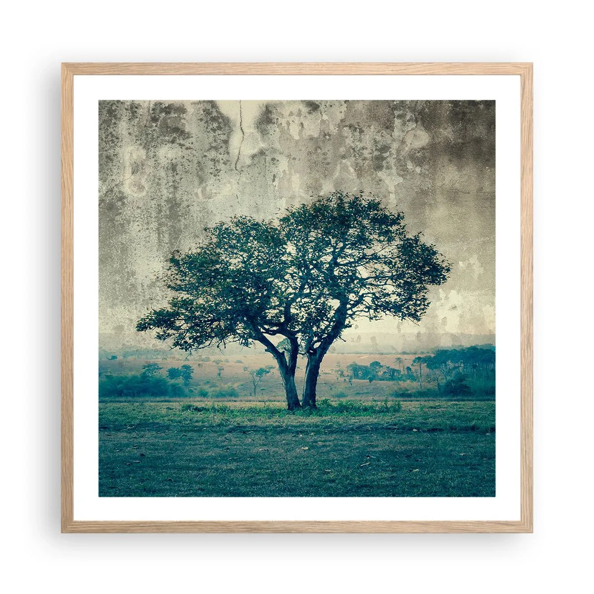 Pôster com moldura de carvalho claro - Uma macieira num prado azul? - 60x60 cm