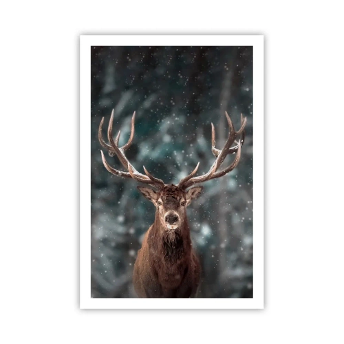 Pôster - O rei coroado da floresta - 61x91 cm