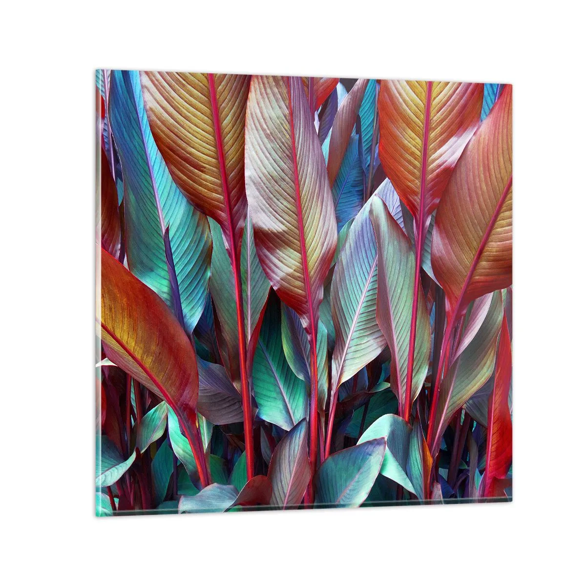 Quadro em vidro - Um matagal colorido - 40x40 cm
