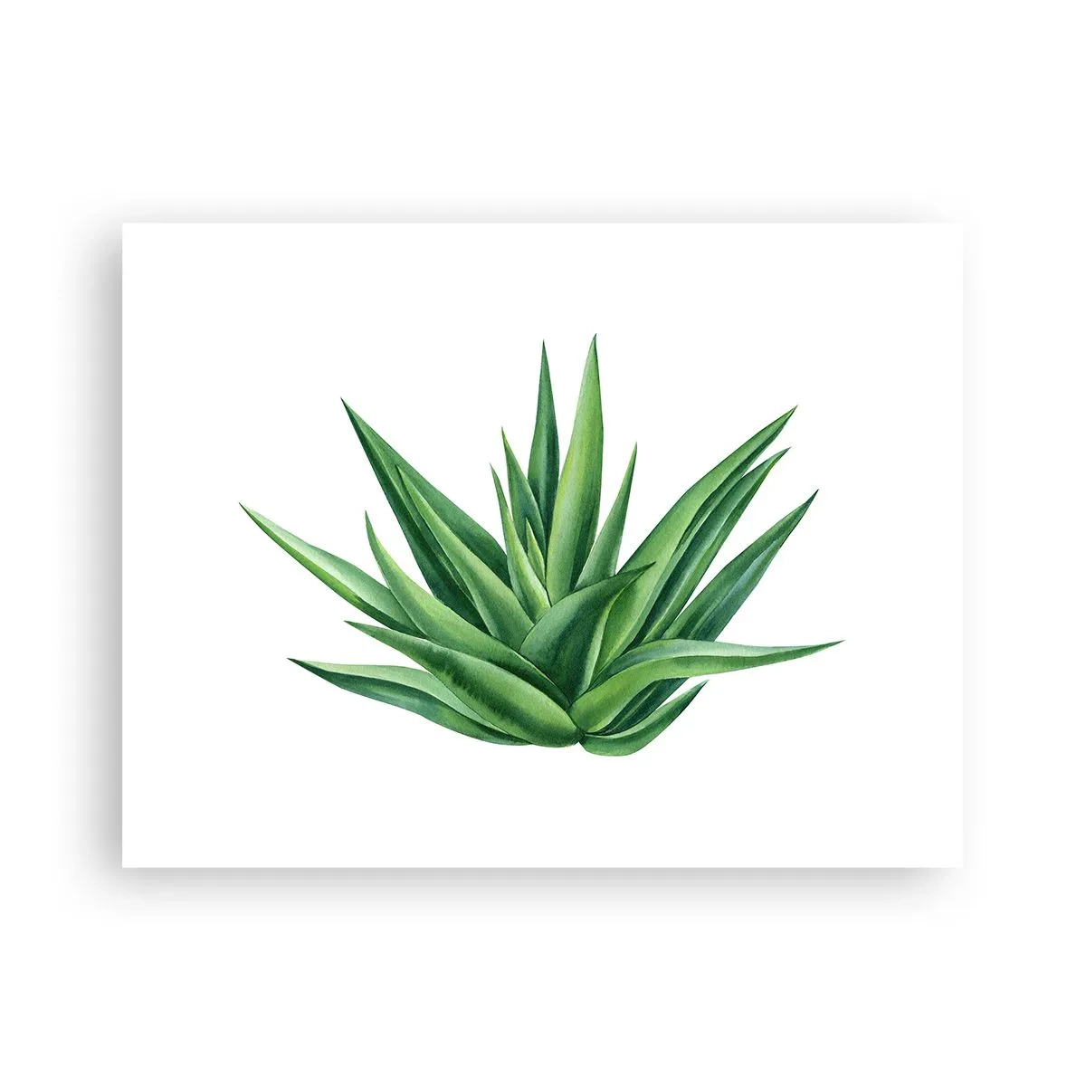 Pôster - Verde – força – vida - 40x30 cm