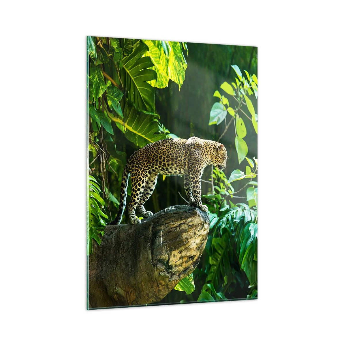 Quadro em vidro - Vamos caçar? - 50x70 cm