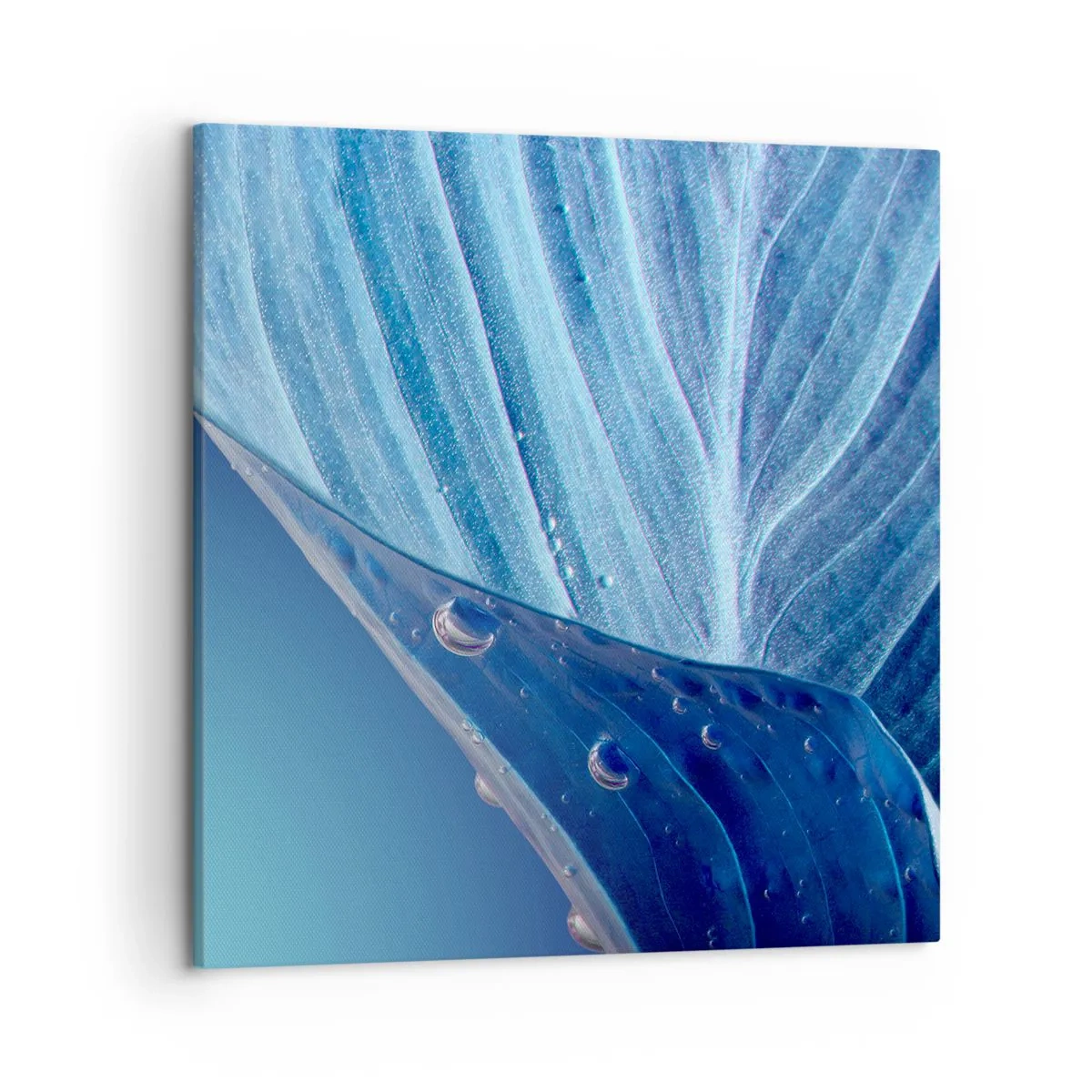 Quadro em tela - Gotas escondidas no azul - 50x50 cm