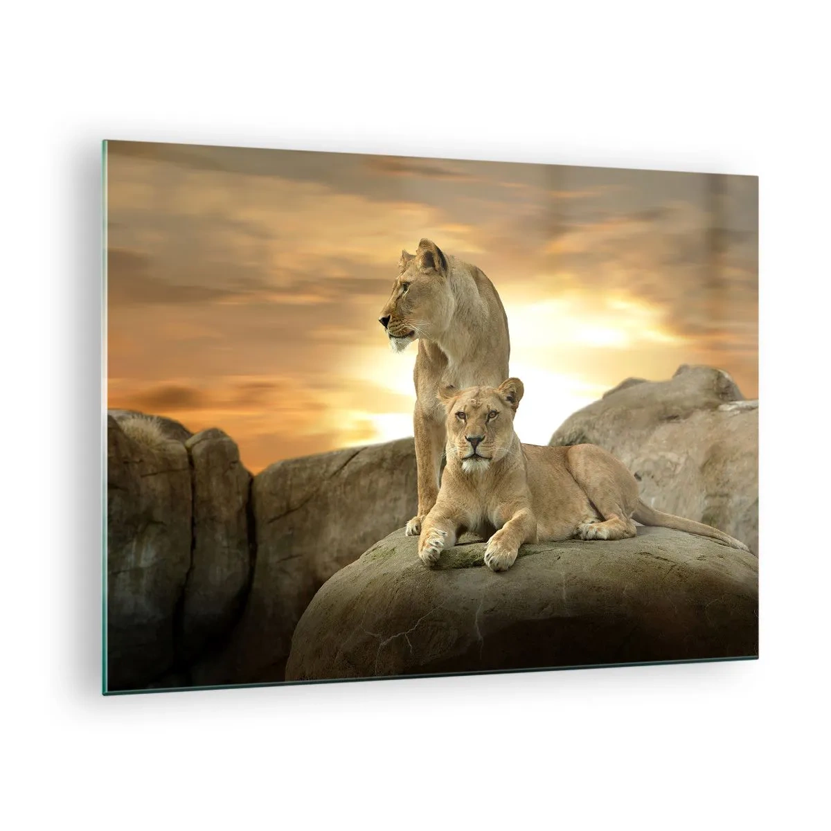 Quadro em vidro - Majestade Real - 70x50cm - Majestade real - Decoração de parede moderna para a sala de estar e quarto ARTTOR