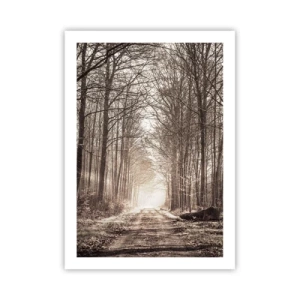 Pôster - Catedral na Floresta - 50x70 cm