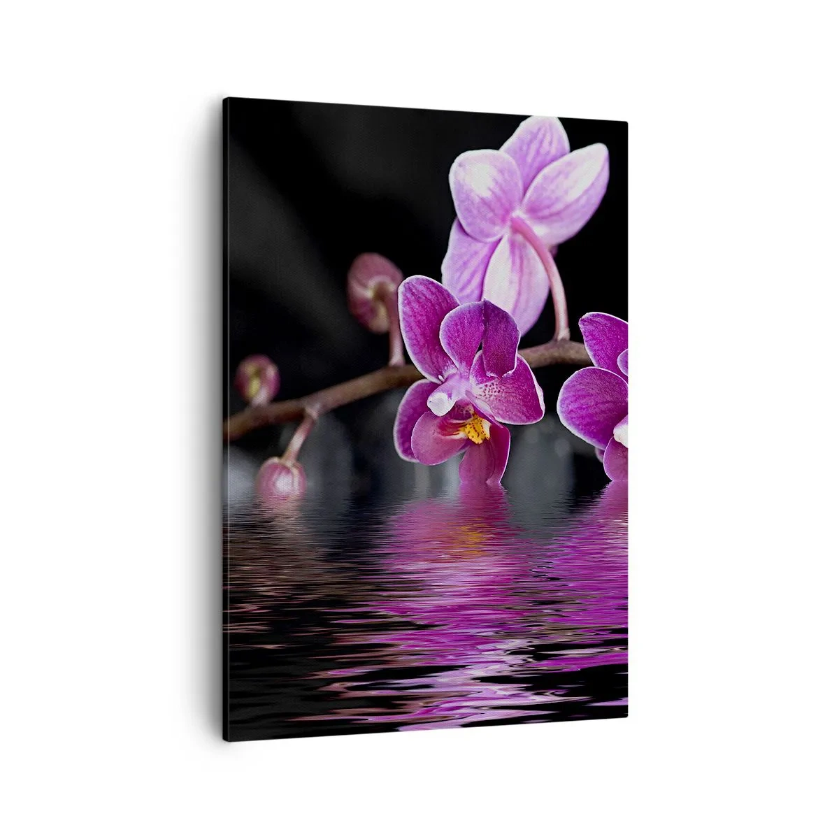 Quadro em tela - Reflexo lilás da beleza - 50x70 cm