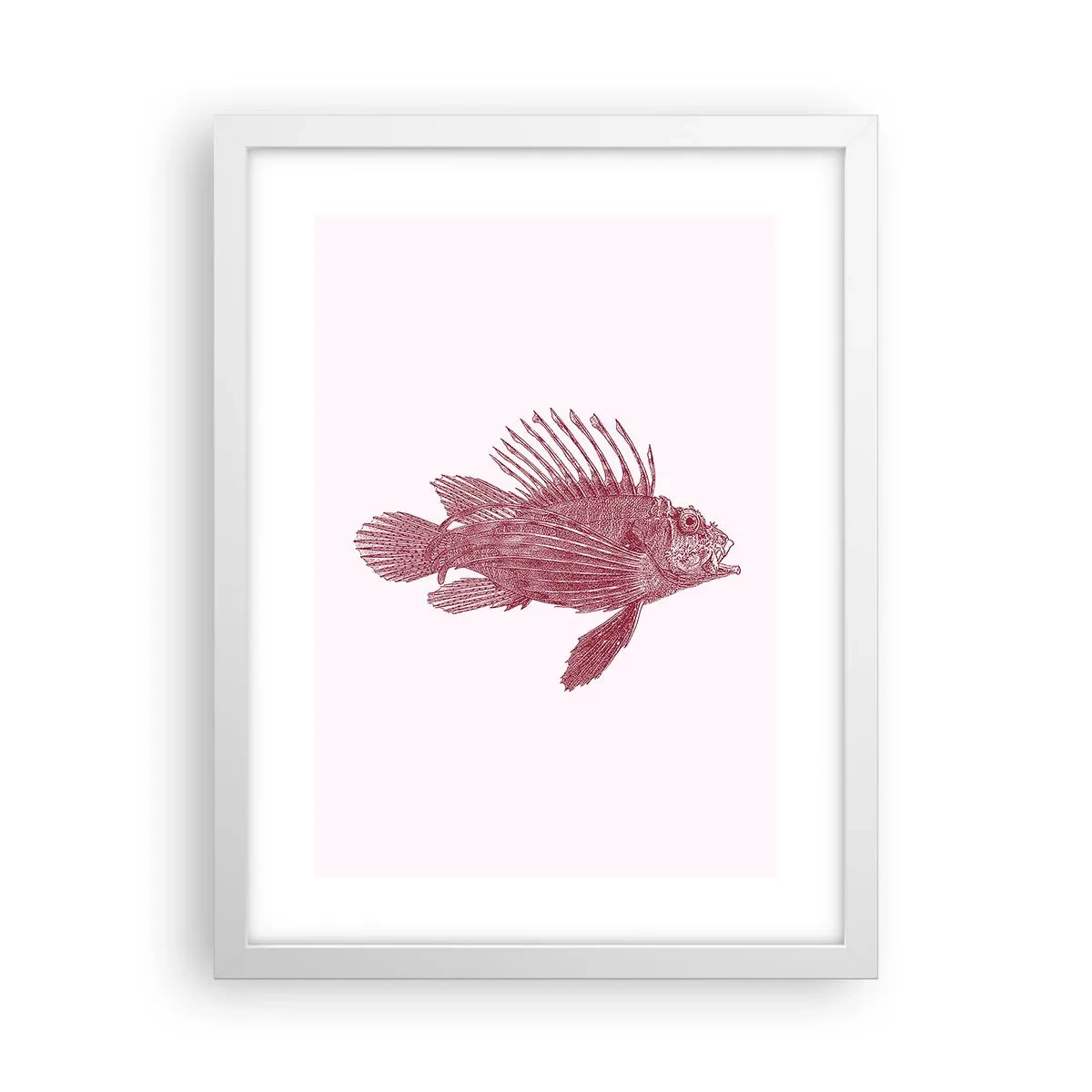 Pôster em moldura branca - Um habitante de águas exóticas - 30x40 cm