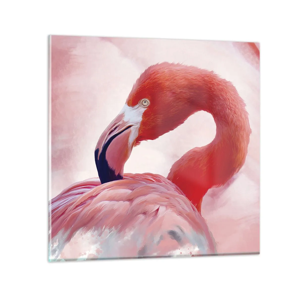 Quadro em vidro - Beleza das aves - 70x70 cm