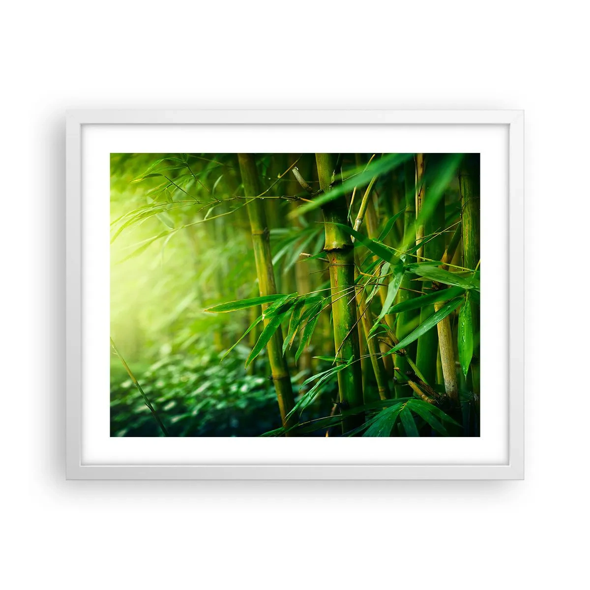 Pôster em moldura branca - Conheça a vegetação  - 50x40 cm