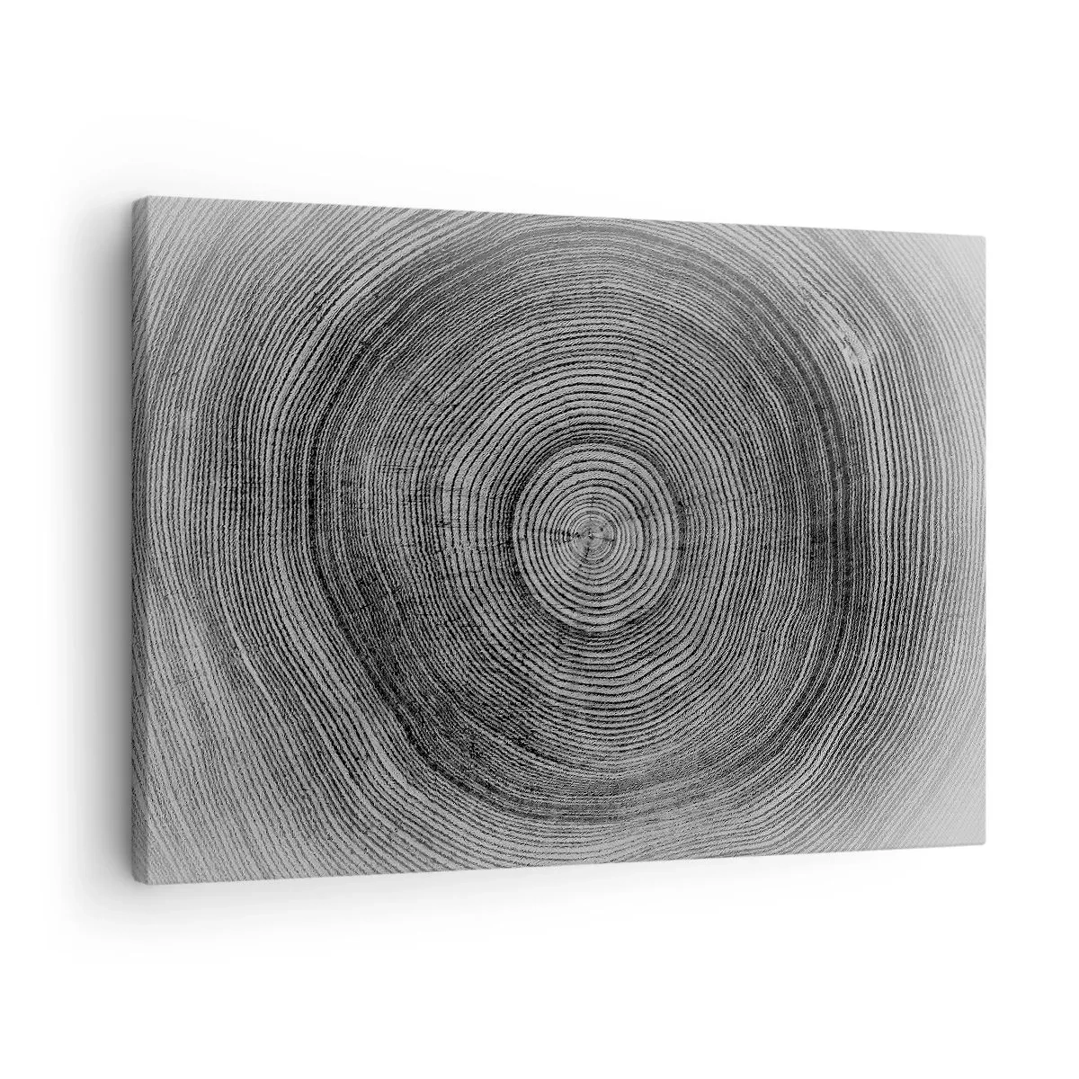 Quadro em tela - Padrão de anéis de árvores em preto e branco mostrando uma seção transversal do tronco - 70x50cm - Sinal dos tempos - Decoração de parede moderna para a sala de estar e quarto ARTTOR