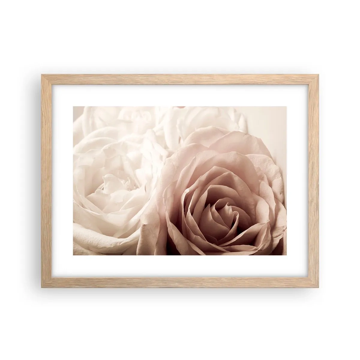 Pôster com moldura de carvalho claro - No coração de uma rosa - 40x30 cm
