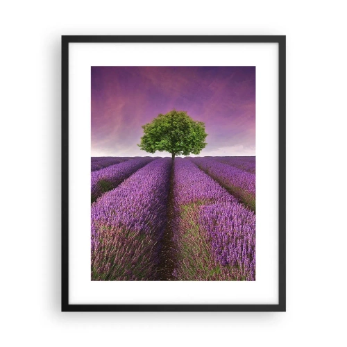 Pôster com moldura preta - Nos campos de lavanda - 40x50 cm