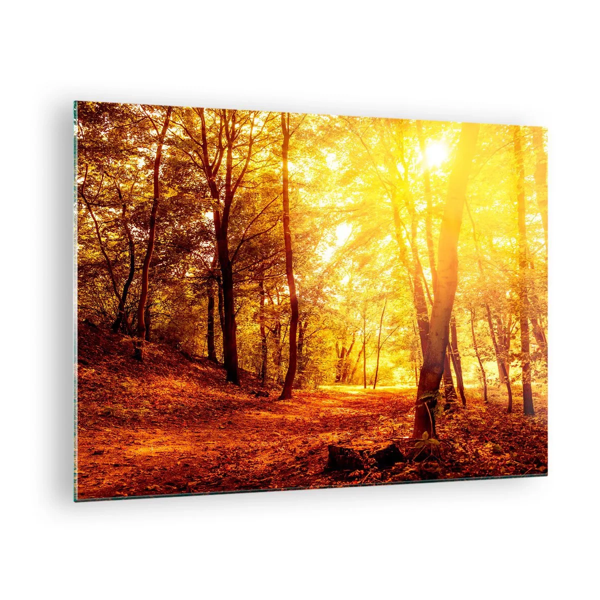 Quadro em vidro - Floresta de outono iluminada pelo brilho quente do sol - 70x50cm - Rumo à clareira dourada - Decoração de parede moderna para a sala de estar e quarto ARTTOR