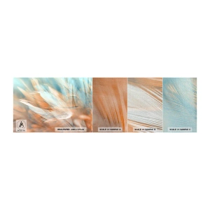 Amostra de papel de parede Premium Canvas - Na terra da gentileza - Delicado, Penas, Minimalismo - 100x30 cm