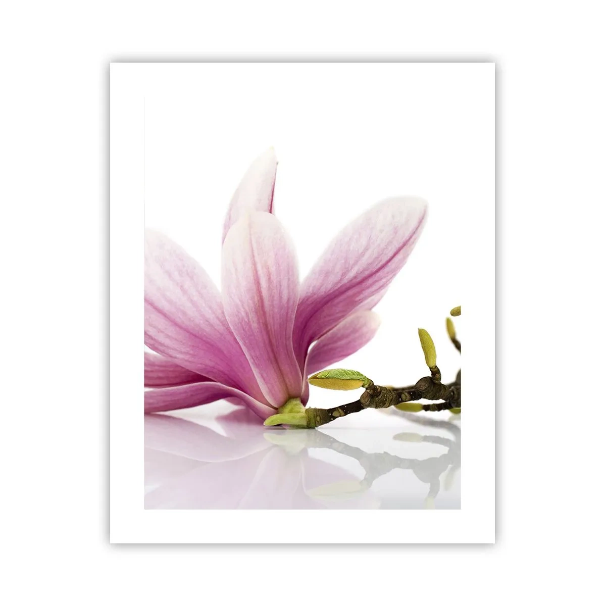Pôster - Suave como um sopro de primavera - 40x50 cm