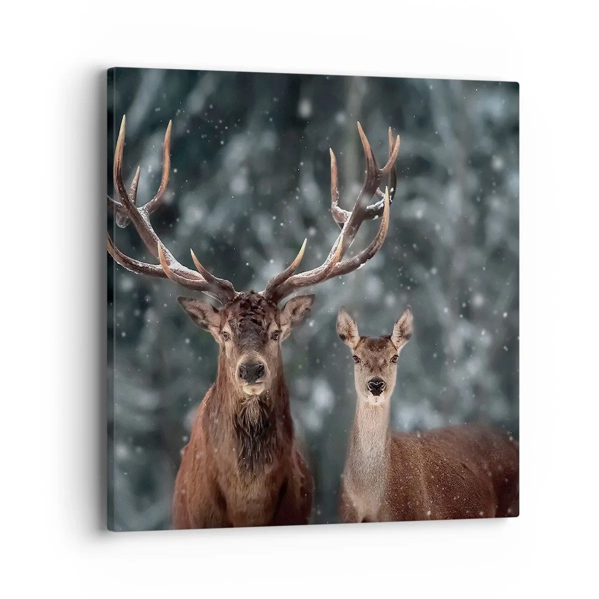 Quadro em tela - O senhor da floresta com sua esposa - 40x40 cm