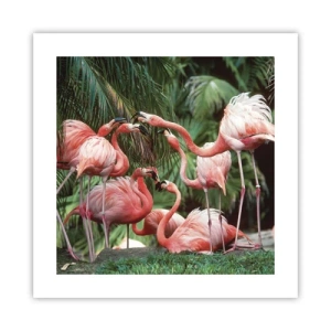 Pôster - Fofocas da tarde - 40x40 cm