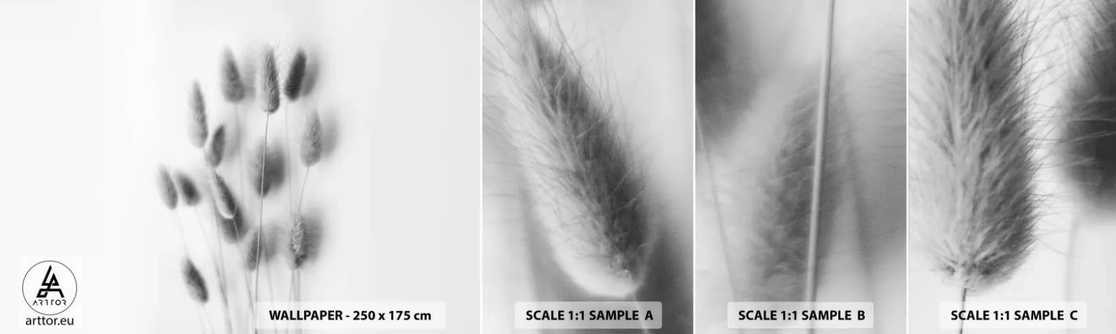 Amostra de papel de parede autocolante Deluxe Sticker - Grama fofa - Grama, Preto e branco, Flores - 100x30 cm